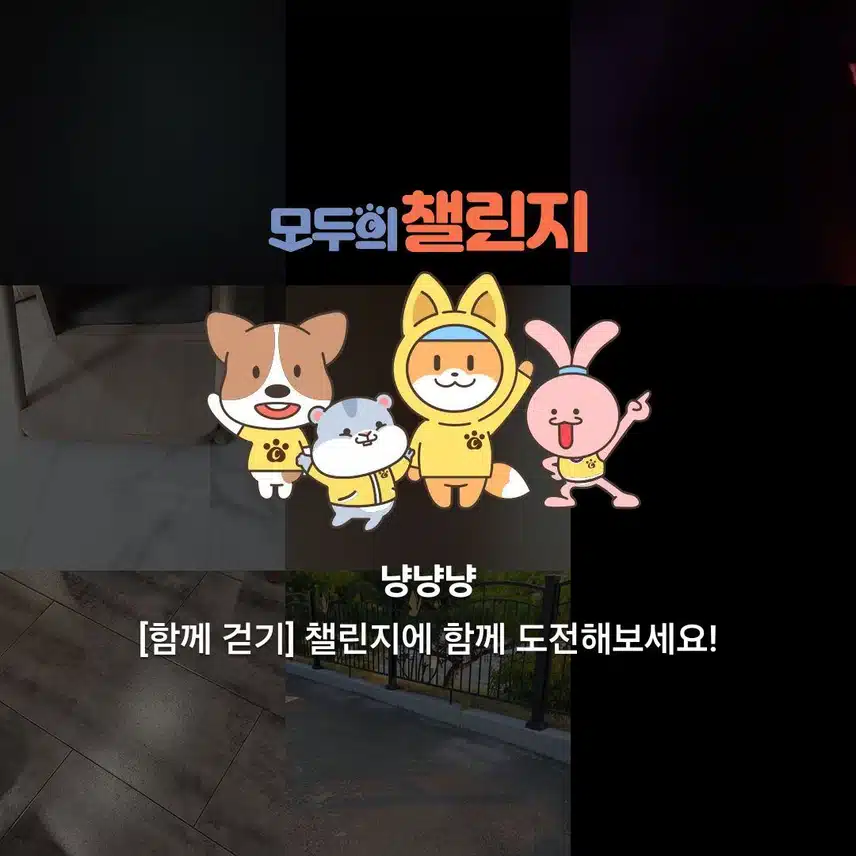 함께 걸어요 냥낭