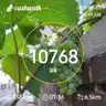 board-img