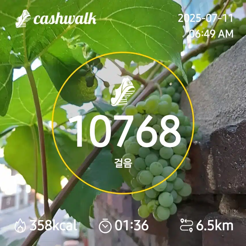 7000보 걷기