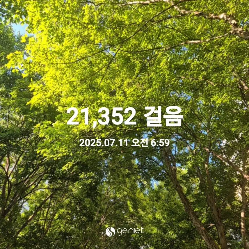 7월 11일 금요일  오전걷기 