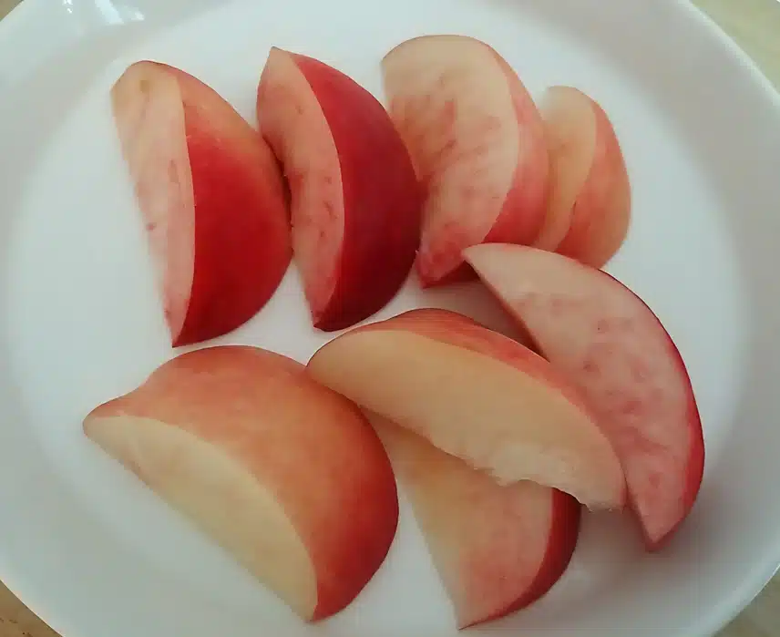 🍑복숭아 ~