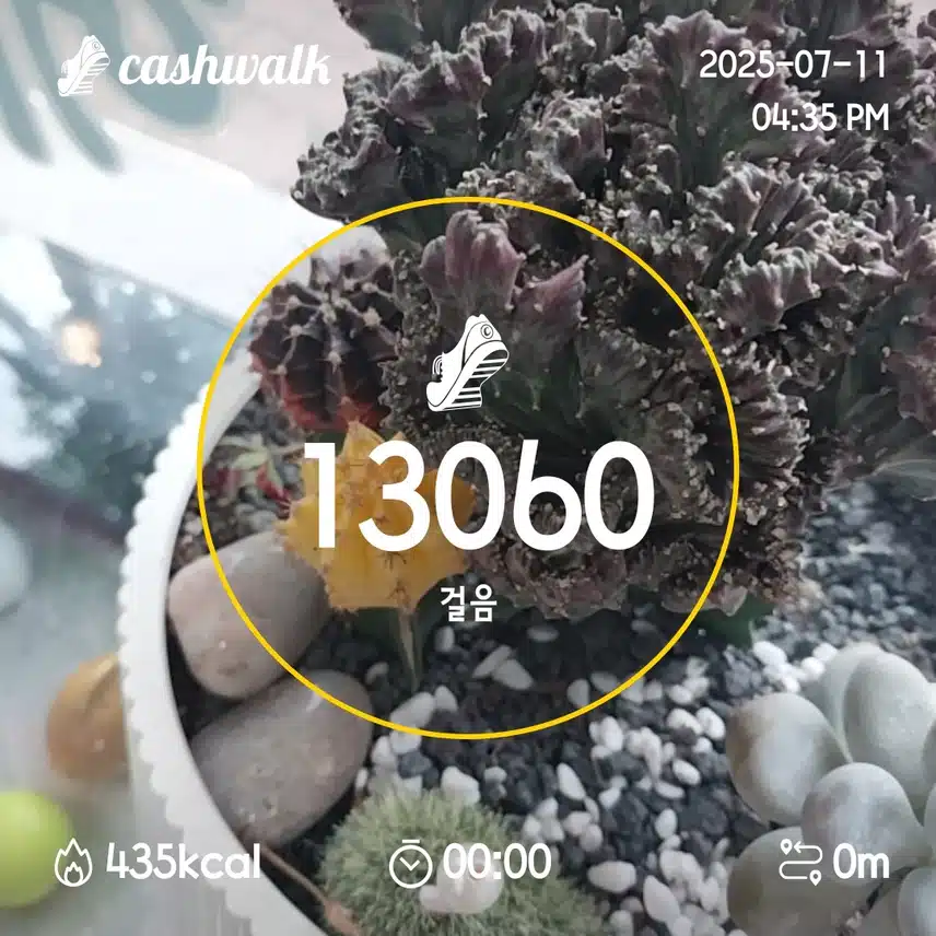 2일차