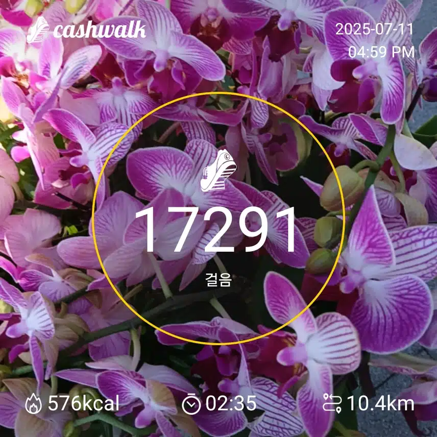 인증 