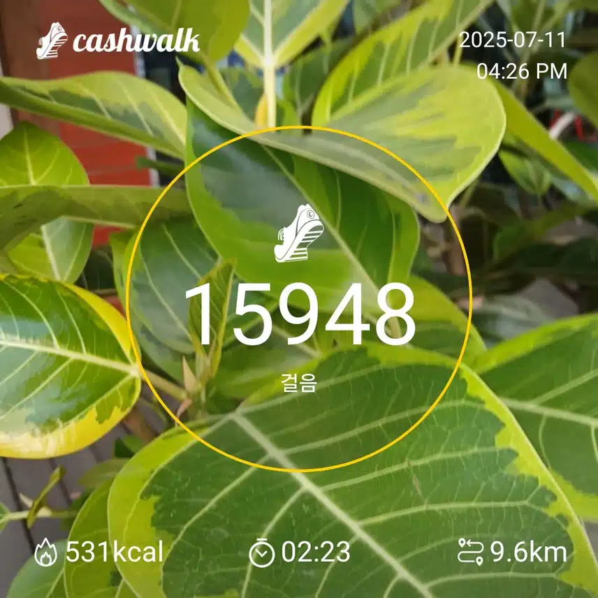 인증 