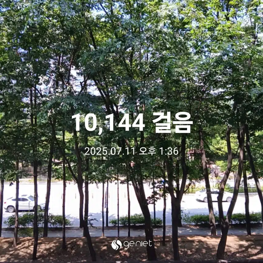 금요일 걷기운동^^