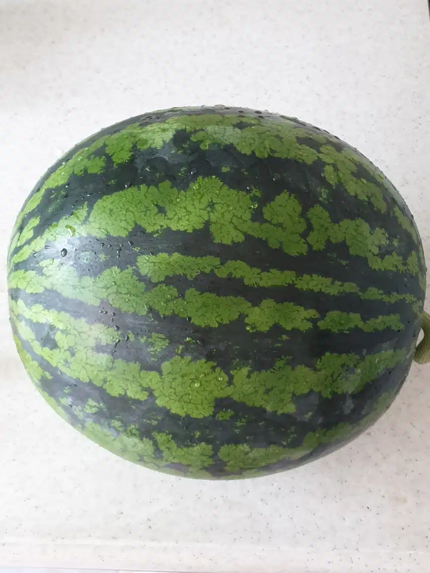 수박 샀어요 