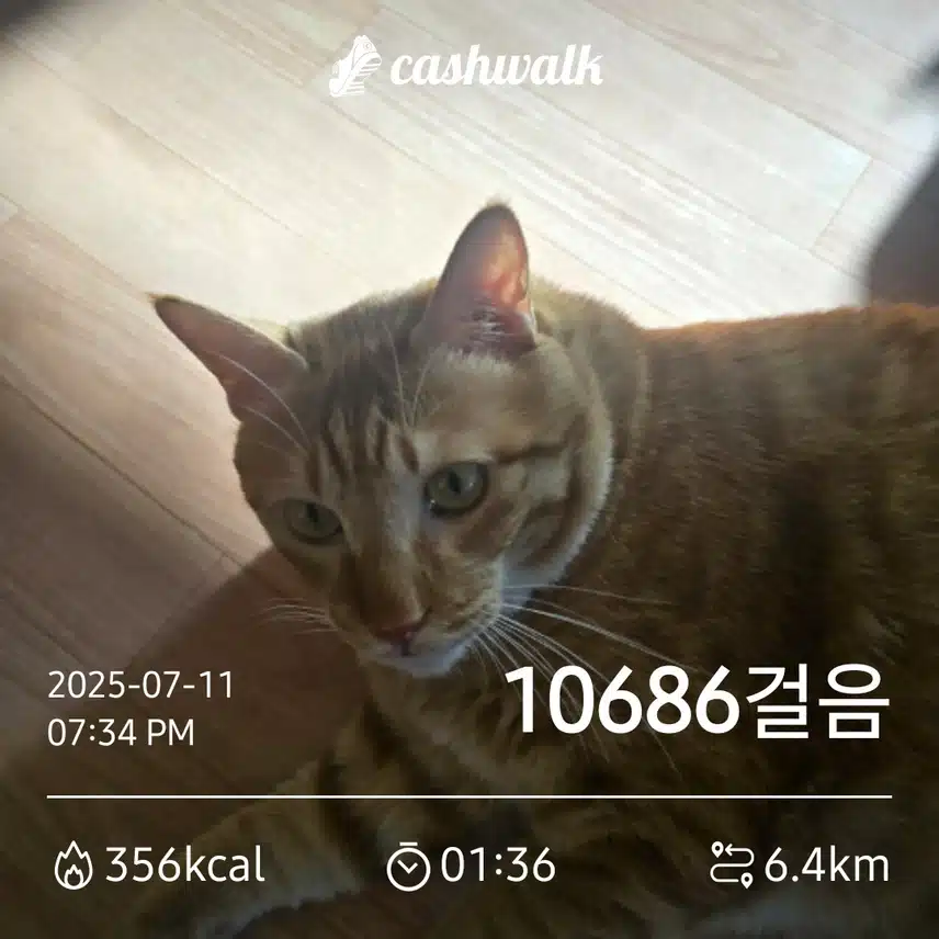 만보걷기 1.80일차 인증