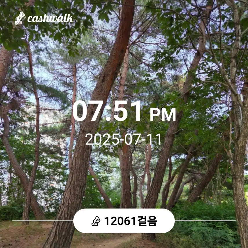 만이천보 걸었어요 