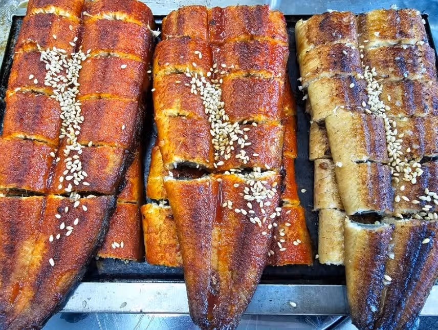 우리 동네 민물장어 구이 1티어집을 추천합니다!