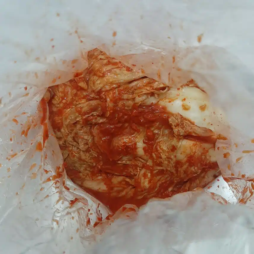김치 샀어여
