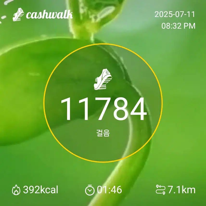  밤바람이  시원하네요..하루 일과 마치고 퇴근합니다.