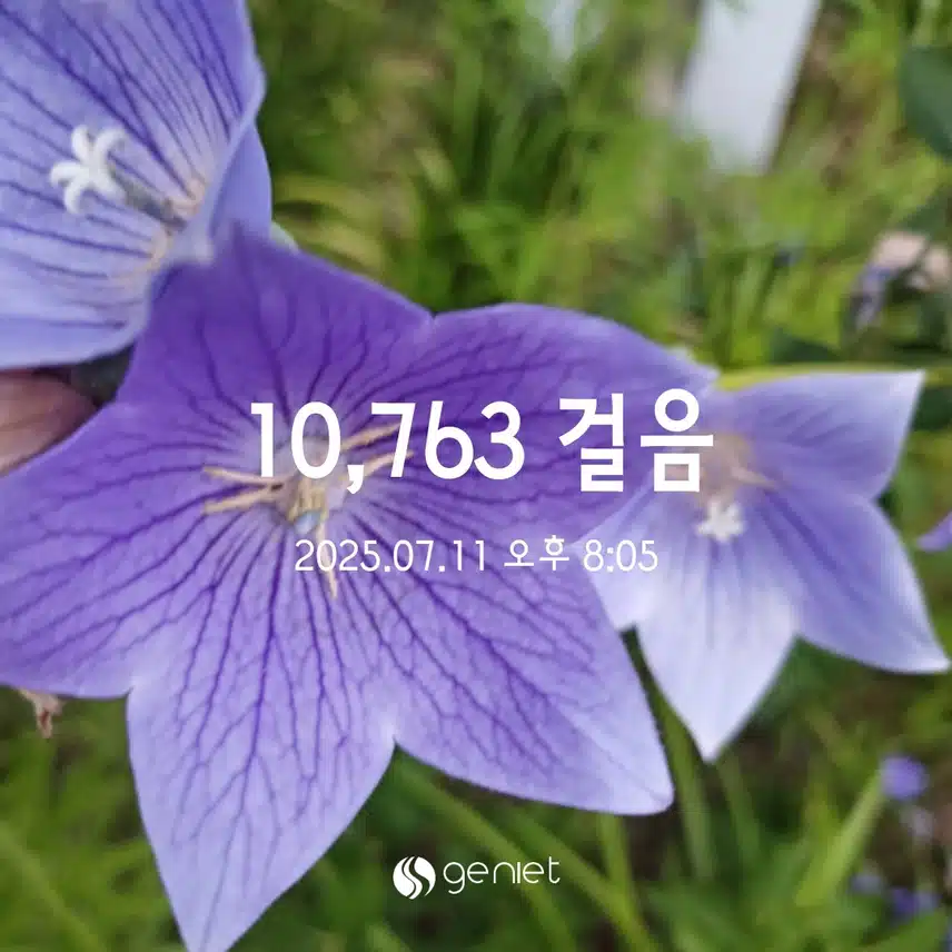 불금만보