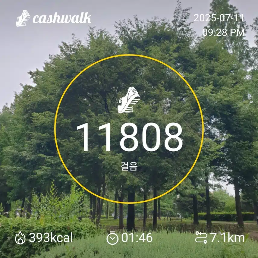 금요일 밤