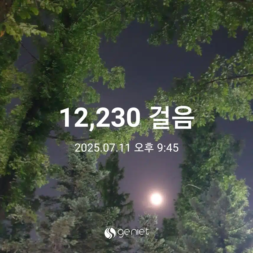 바람부는 밤
