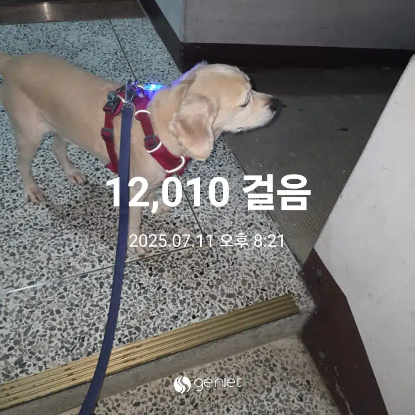 금요일 마무리 