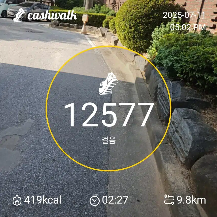 인증