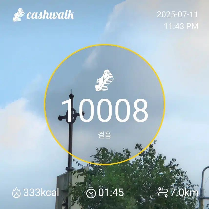 인증