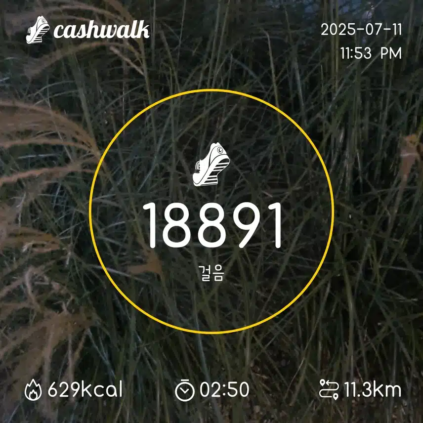 걷기완료