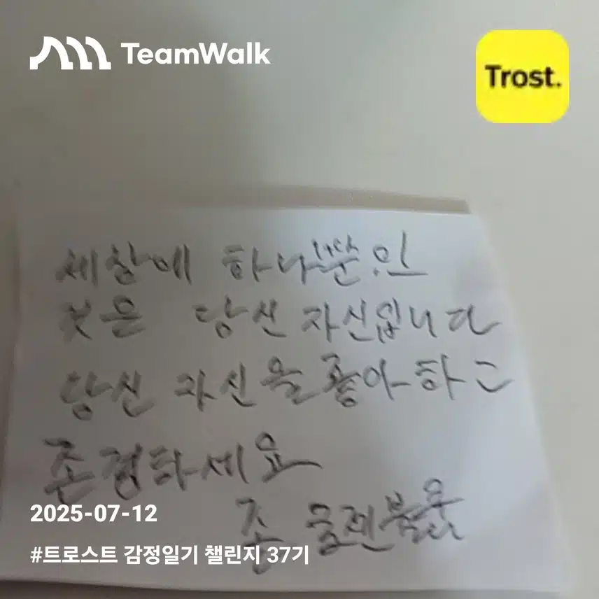 감정일기5일차인증