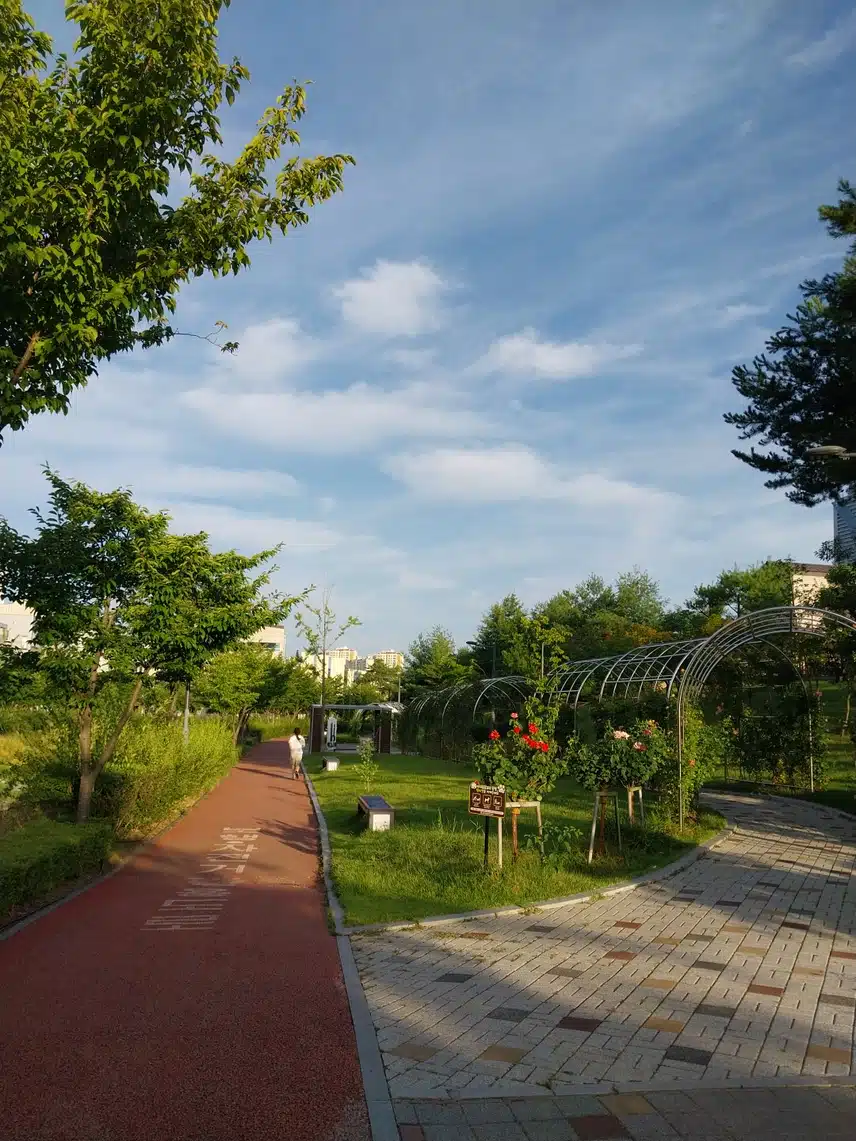 저의 최애 운동은 러닝과 만보걷기입니다