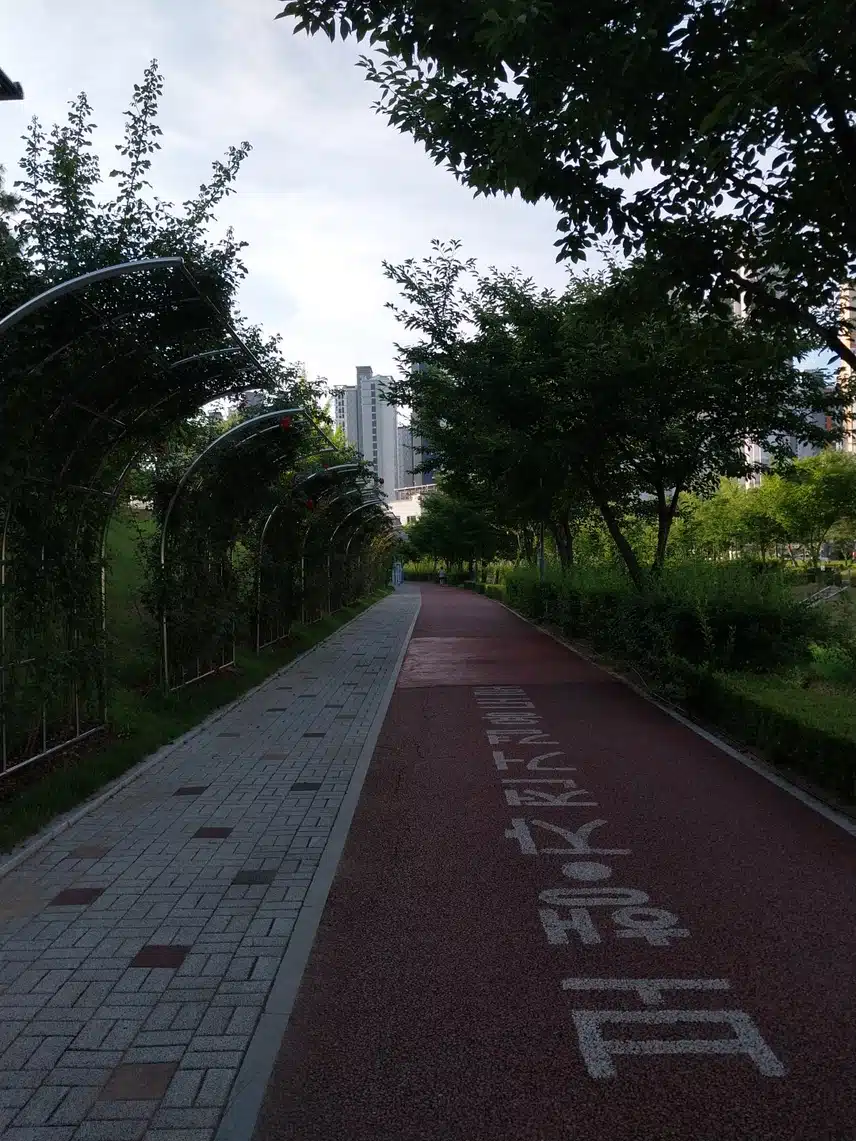 저의 최애 운동은 러닝과 만보걷기입니다