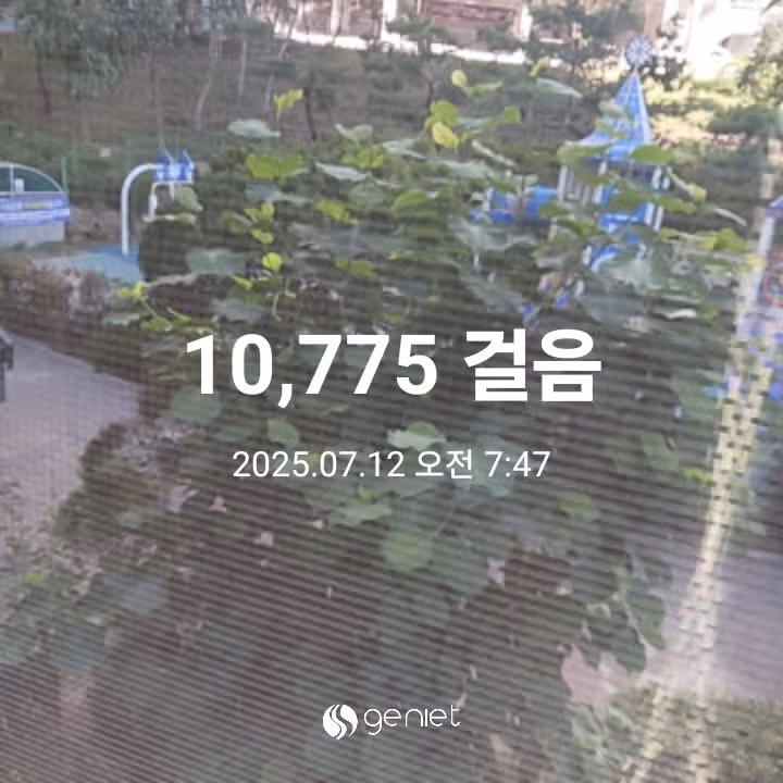 오전 운동 