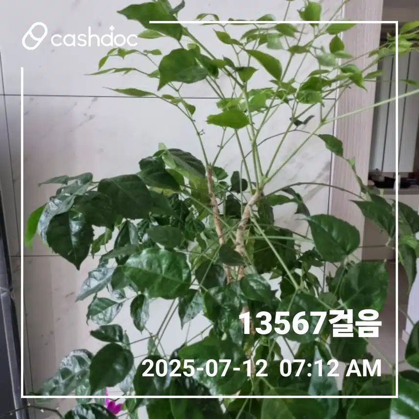    간만에 시원한 아침에 운동