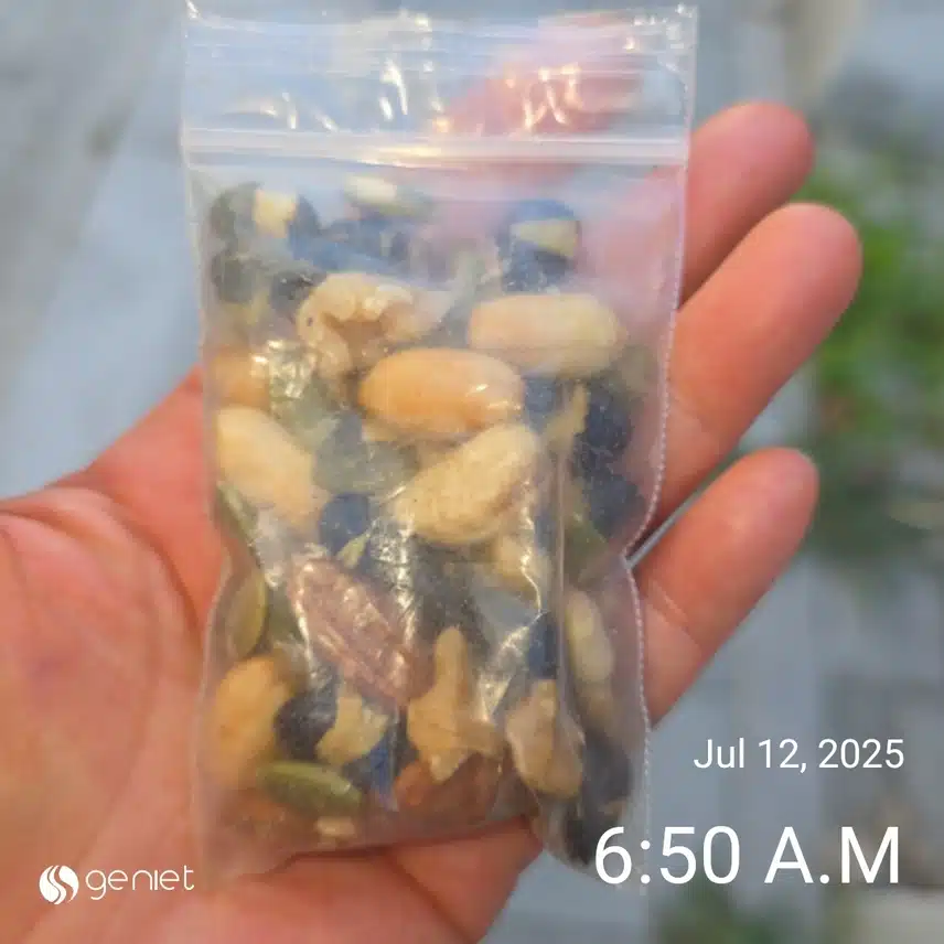 산책하면서 아침 챙겨 먹기
