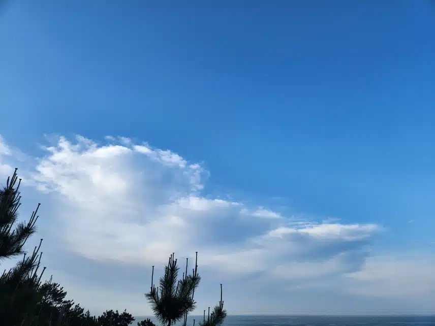 해운대  페스타축제 알려드려요