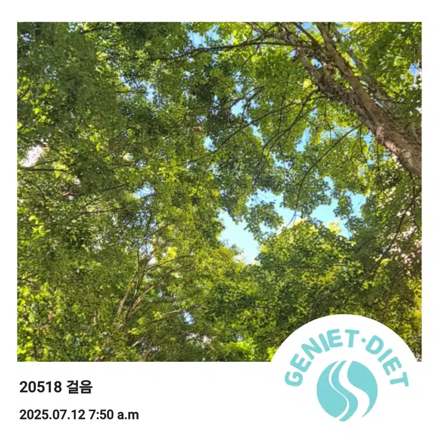 7월 12일 토요일 걷기 