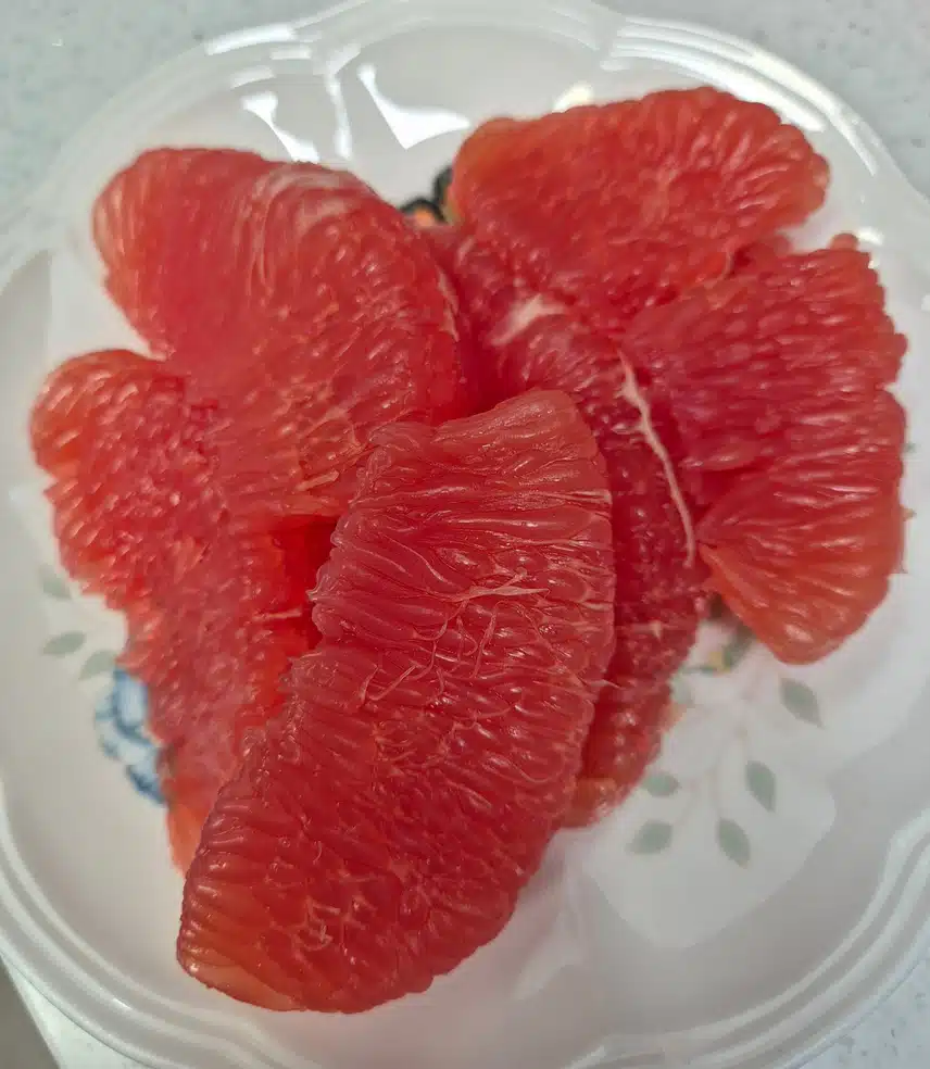 알알이 톡톡~