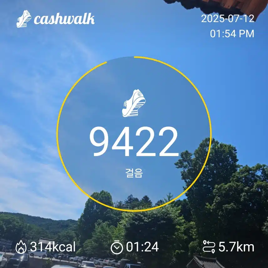 6천보3일차