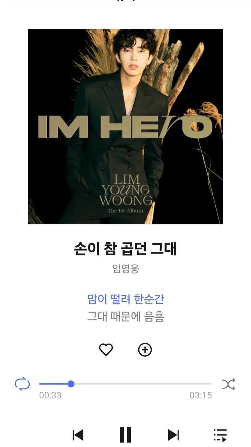 영웅님 손이 참 곱던 그대 노래 들어요 