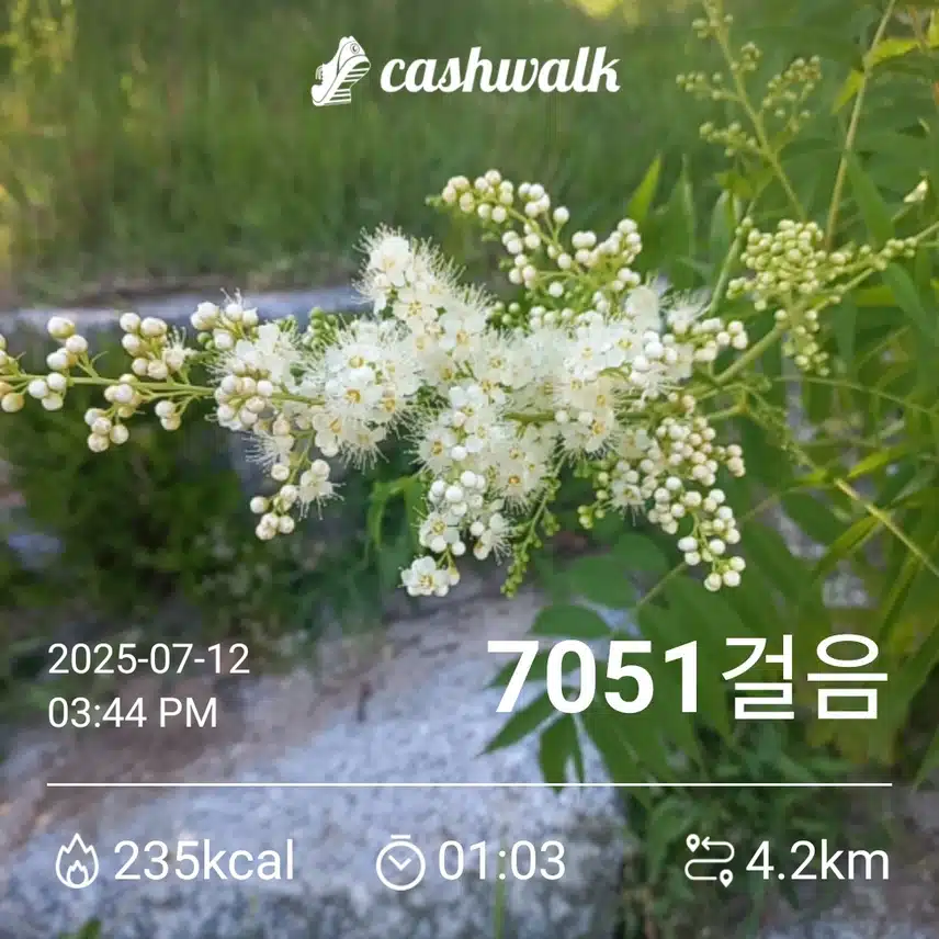 43기 3일차