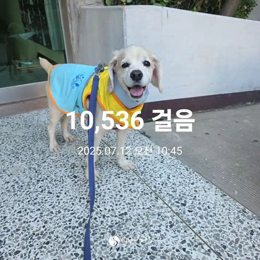 빵까지 아침으로~ 먹어요