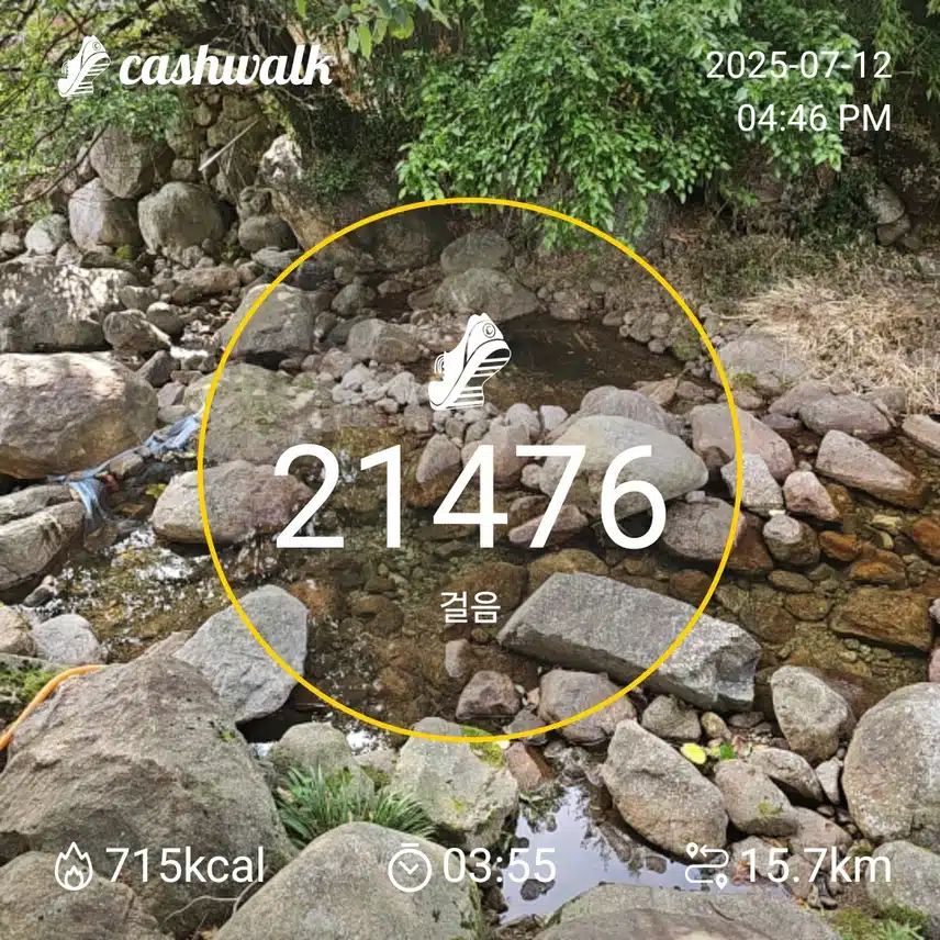 인증 