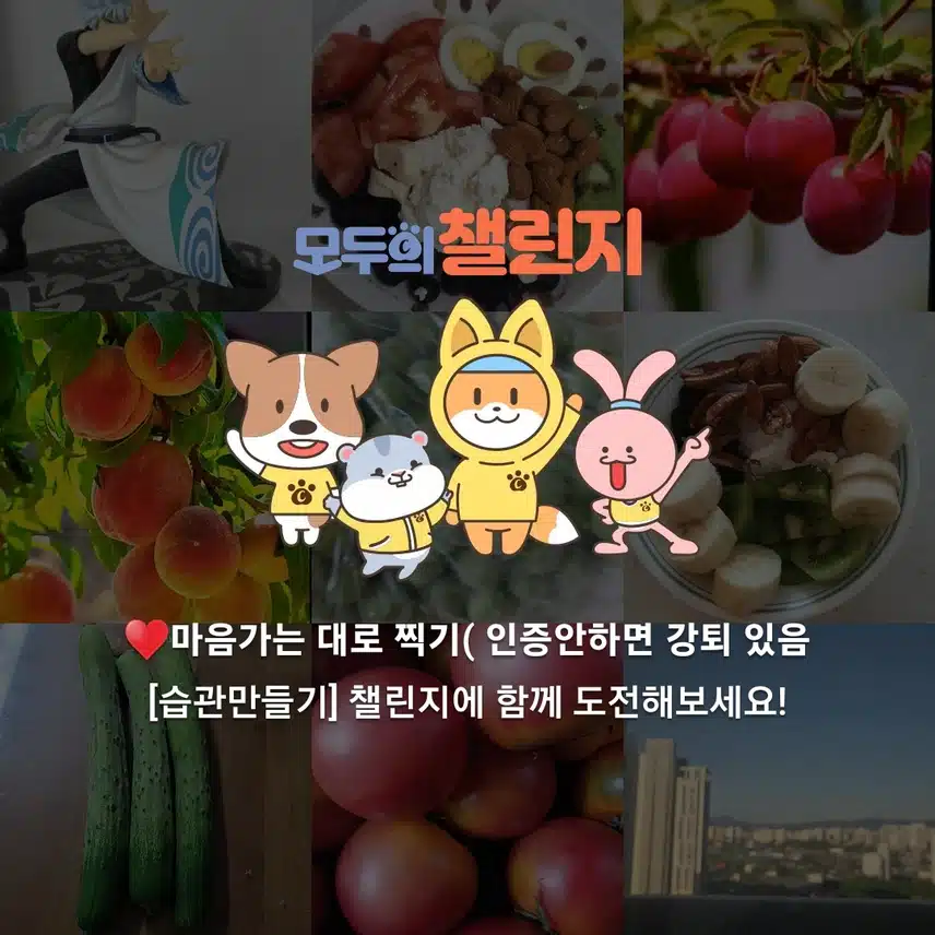마음가는거 찍기