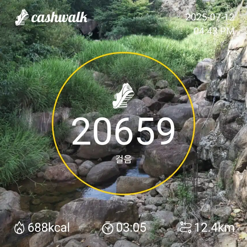 인증 
