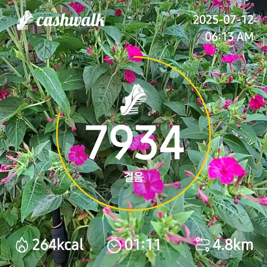 6000보 걷기
