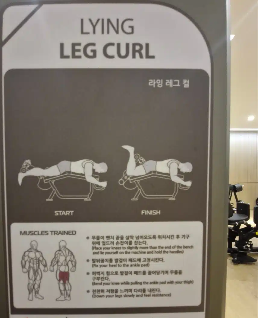 오후엔 헬스장에서