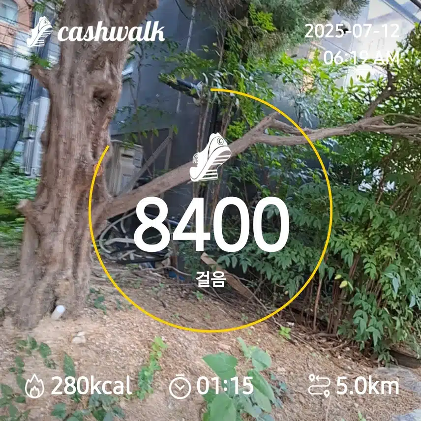 7000보 걷기