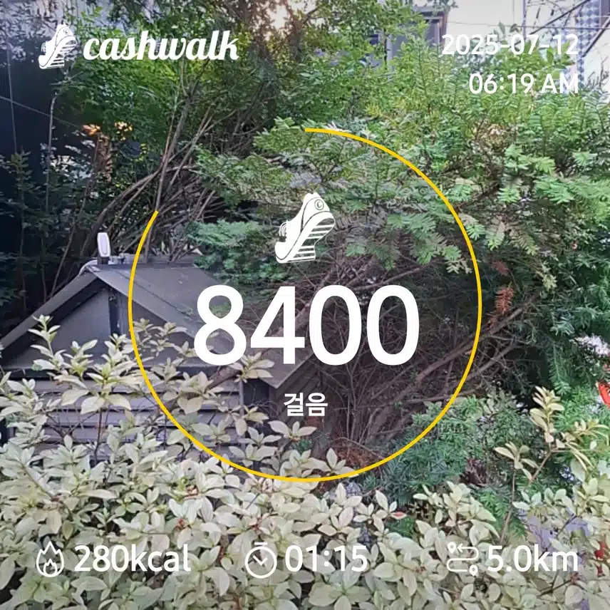 6000. 보 걷기