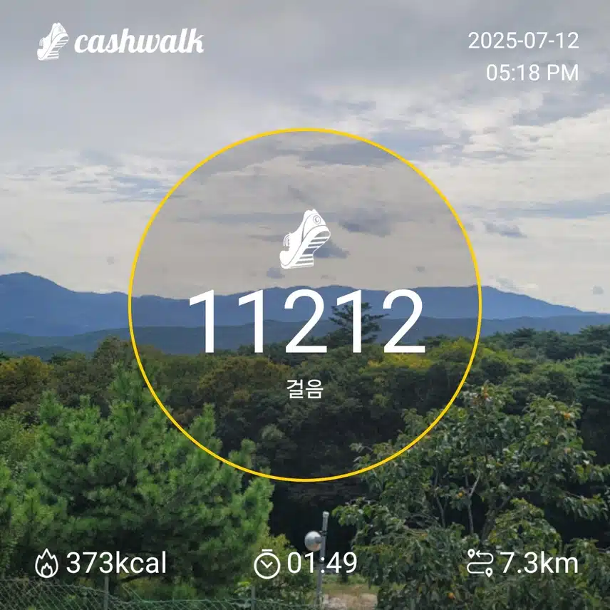 인증 