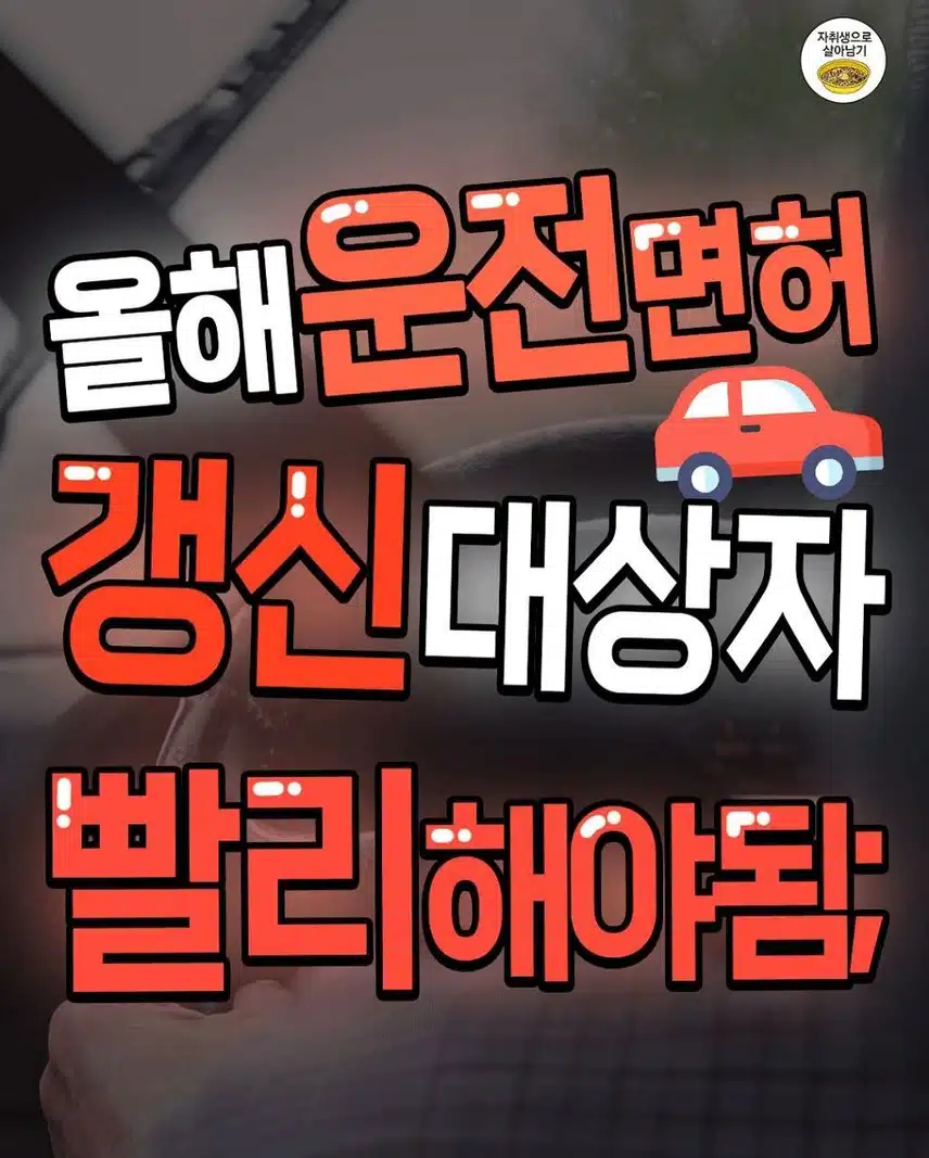 올해 운전면허 갱신 대상자 빨리 해야 됨