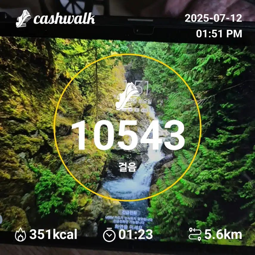인증