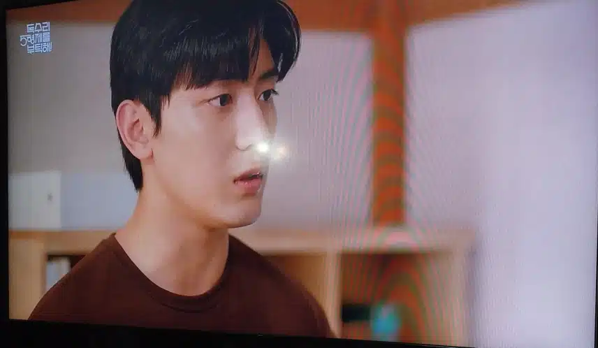 강수 정말 너무 잘자랐네요 참바른 사람이네요