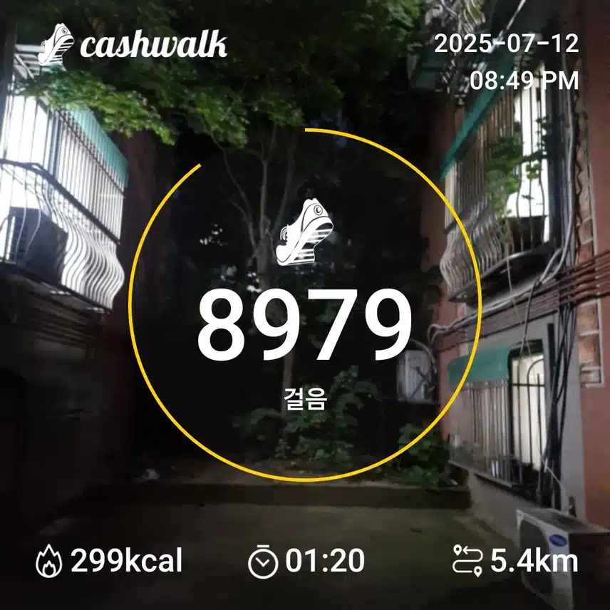 인증