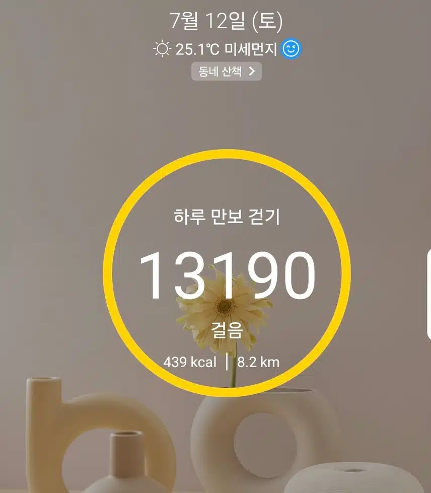 1만보 걷기 운동