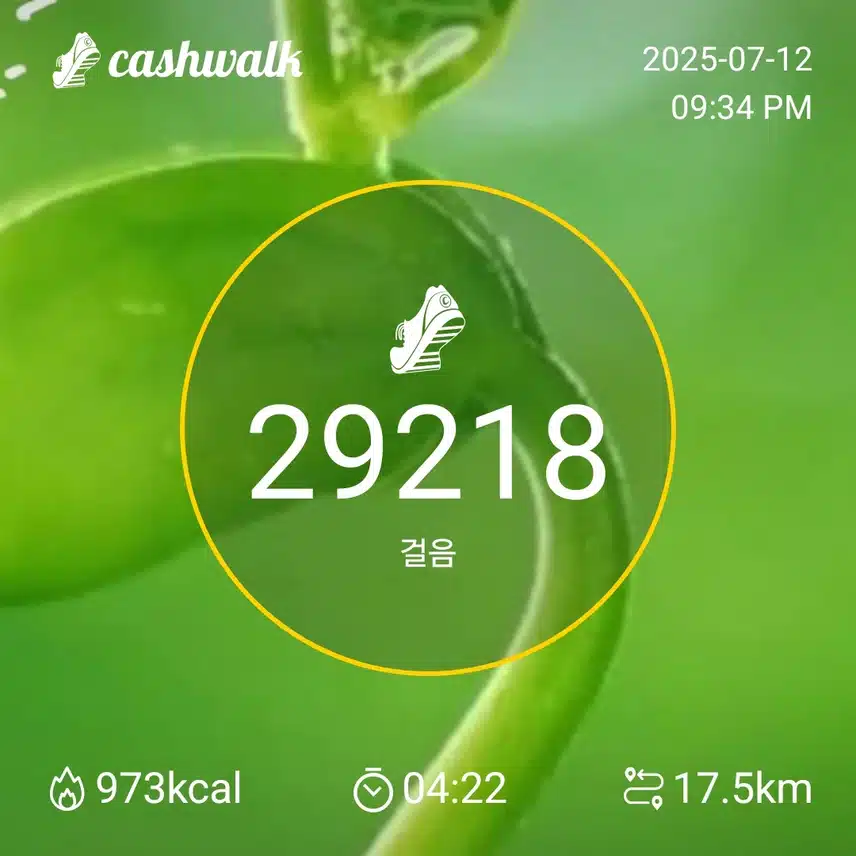 경남 산청. 대원사길 다녀왔어요  글고 이만큼 걸었어요.  오늘도  행복한 하루였습니다