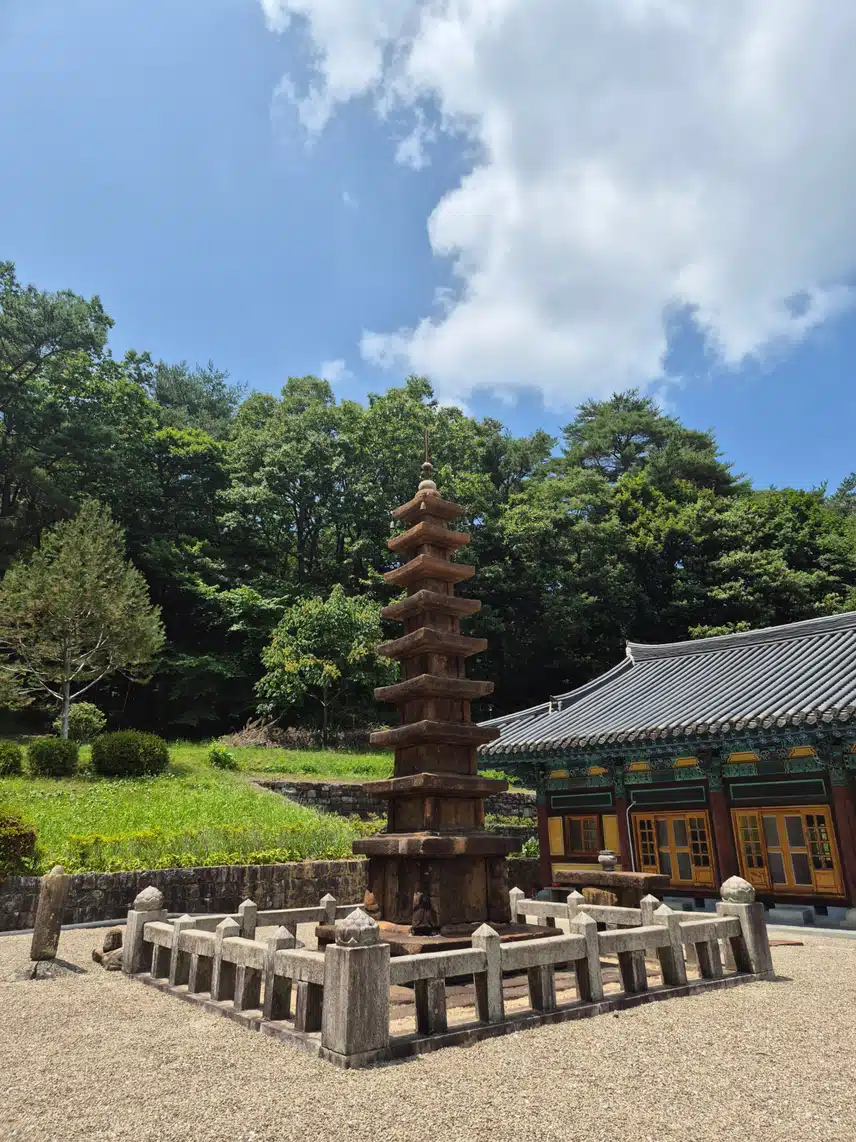 경남 산청. 대원사길 다녀왔어요  글고 이만큼 걸었어요.  오늘도  행복한 하루였습니다